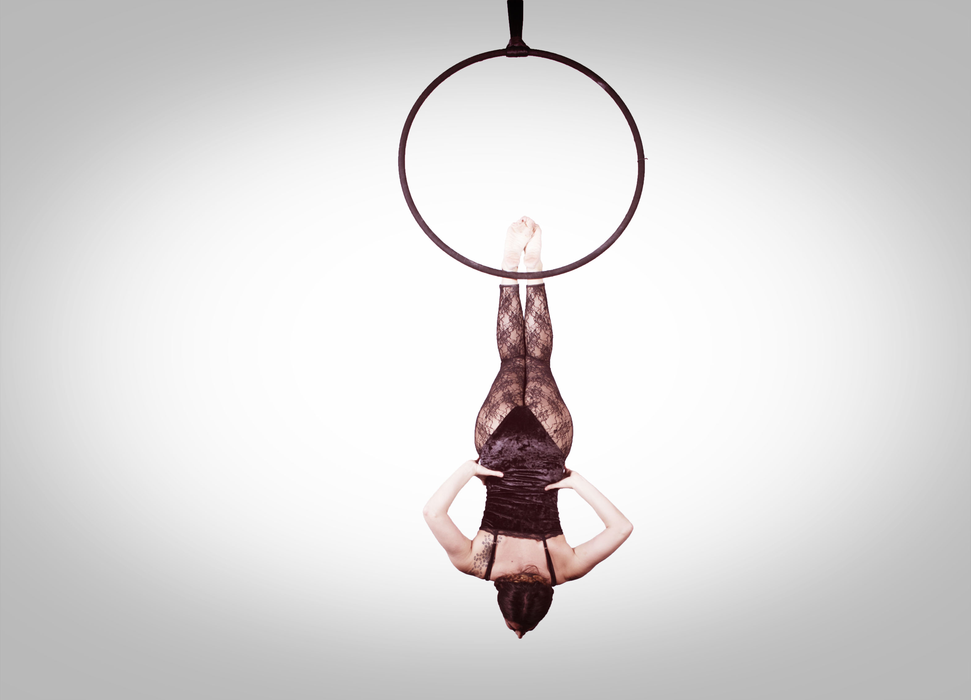 Aerial Hoop