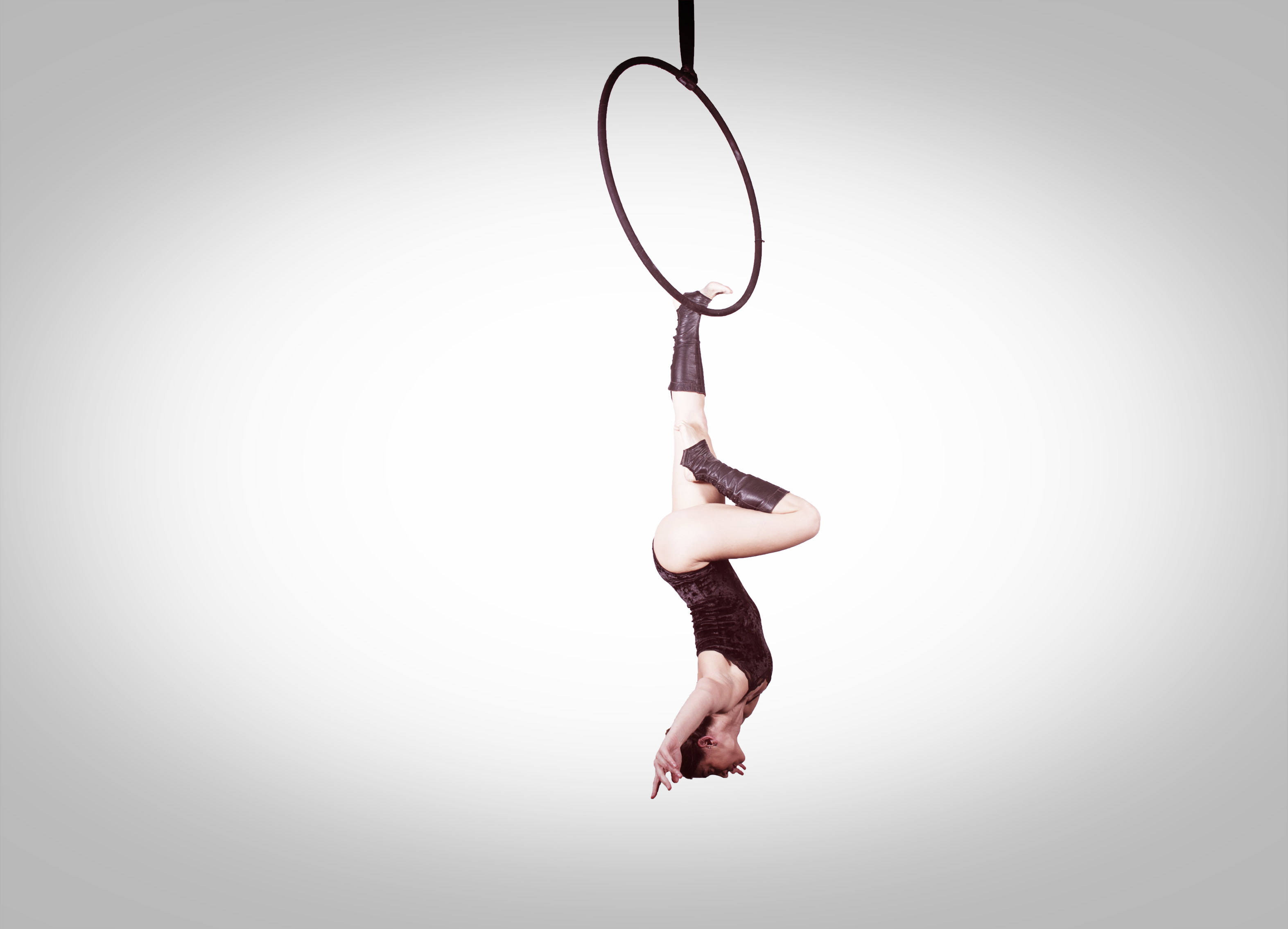 Aerial Hoop