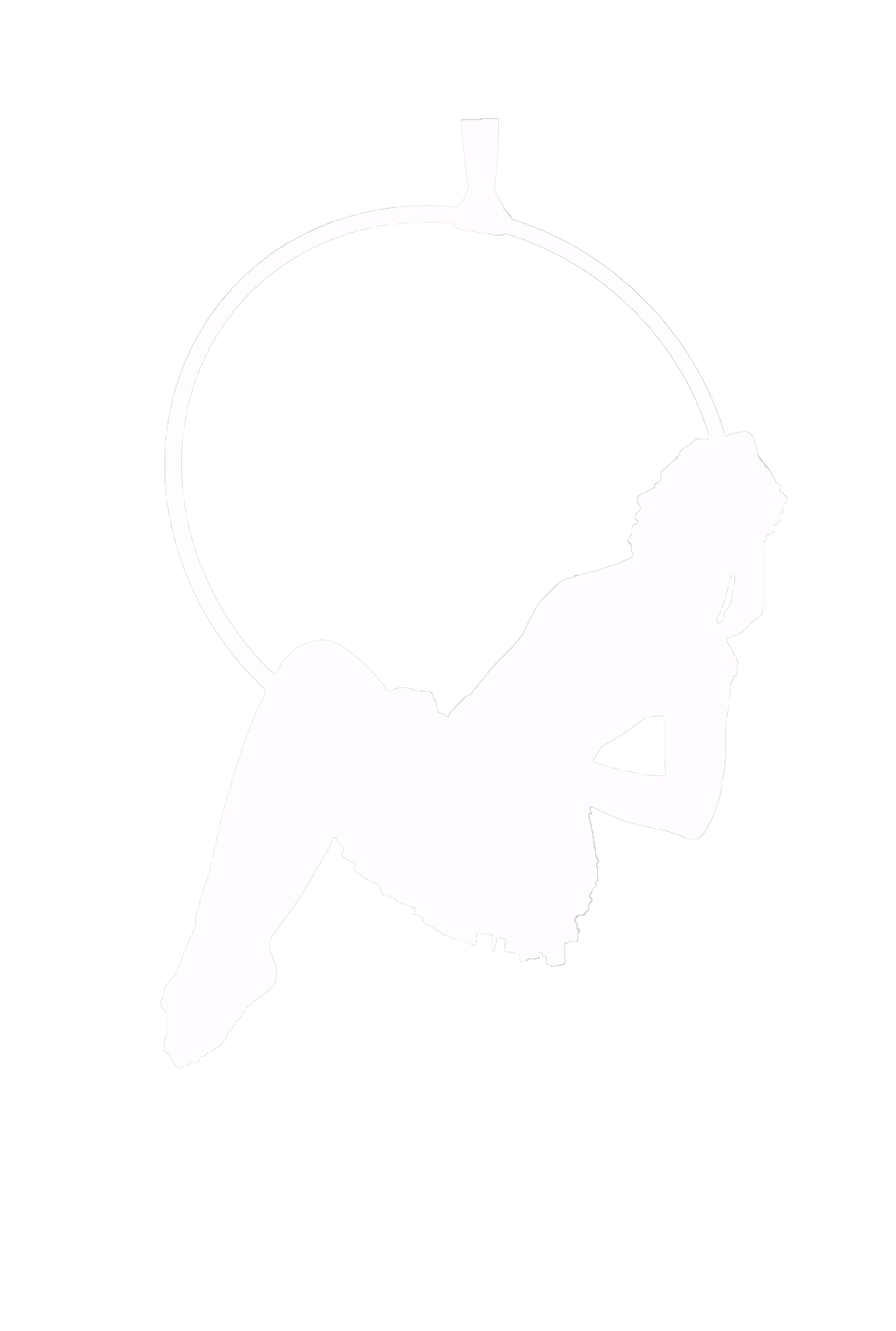 Hoop icon